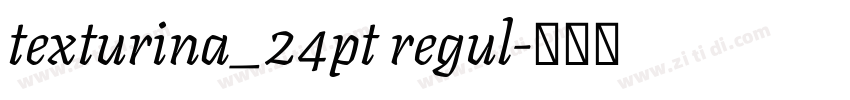 texturina_24pt regul字体转换 texturina_24pt regul字体转换